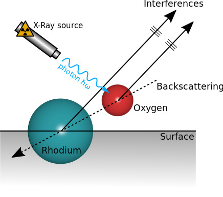 RhO